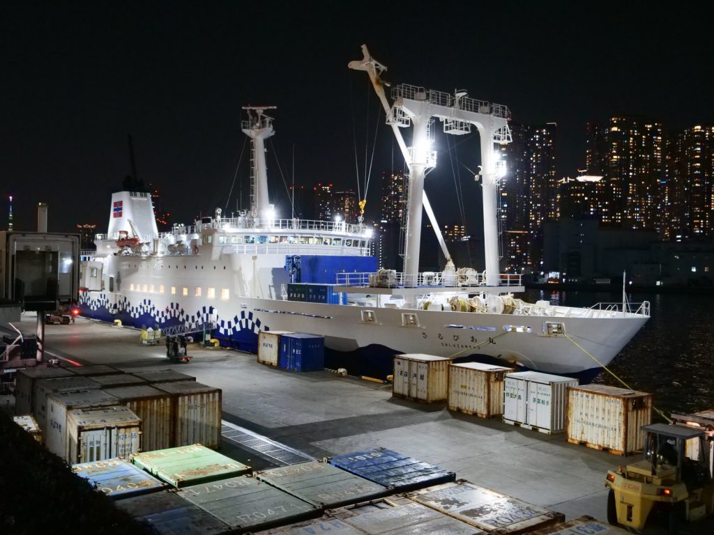 夜の竹芝客船ターミナルに停泊する東海汽船の大型客船さるびあ丸